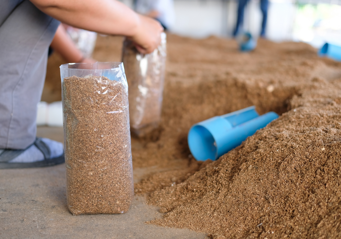 Best Substrates for Mushroom Cultivation: Which One Should You Choose?